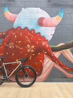 Surge Frameset