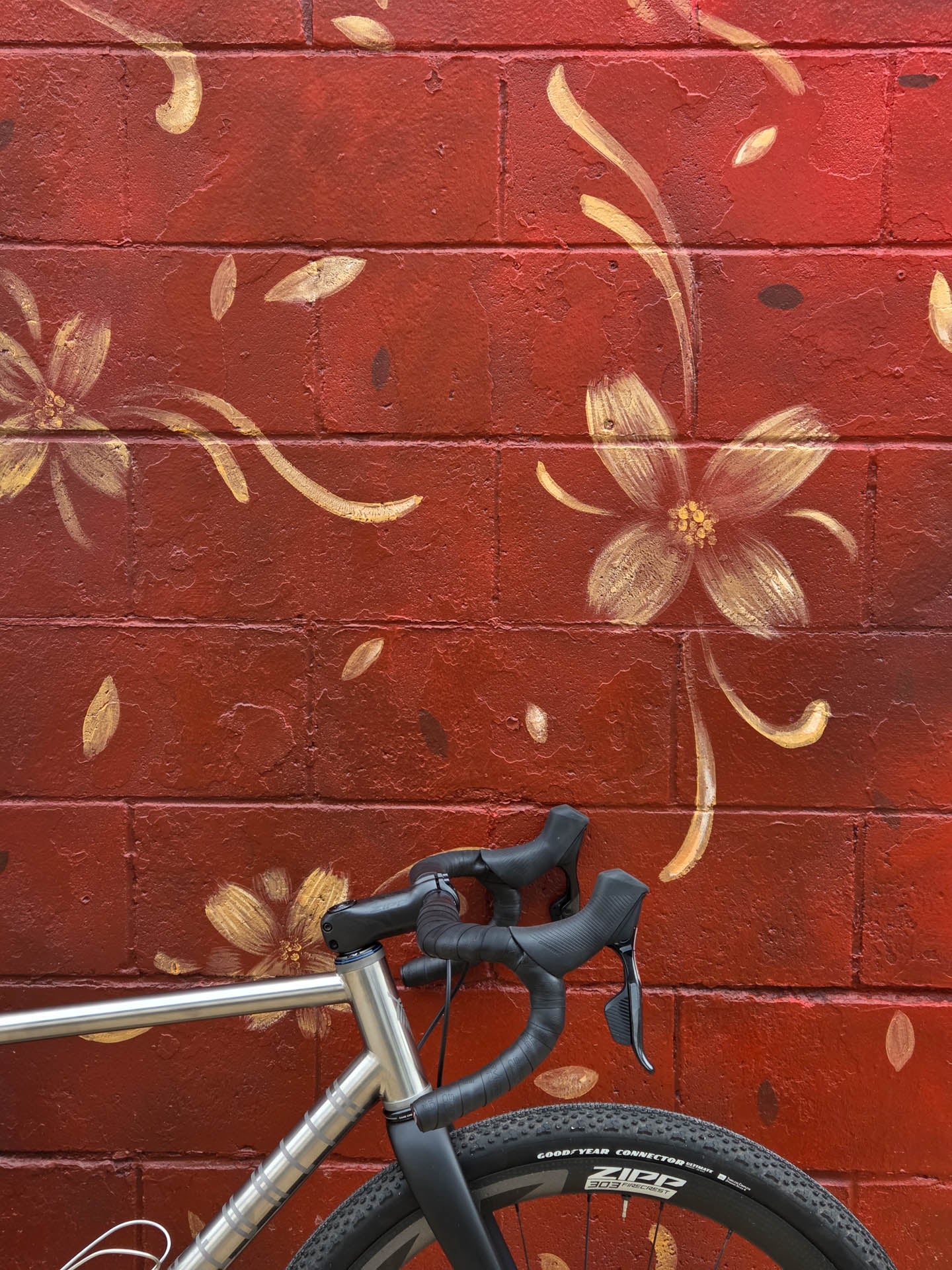 Surge Frameset