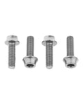 Titanium Bolt Kit